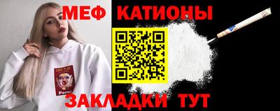 шишки Кингисепп