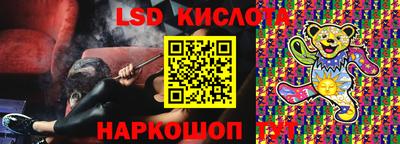 шишки Кингисепп