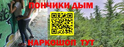 шишки Кингисепп
