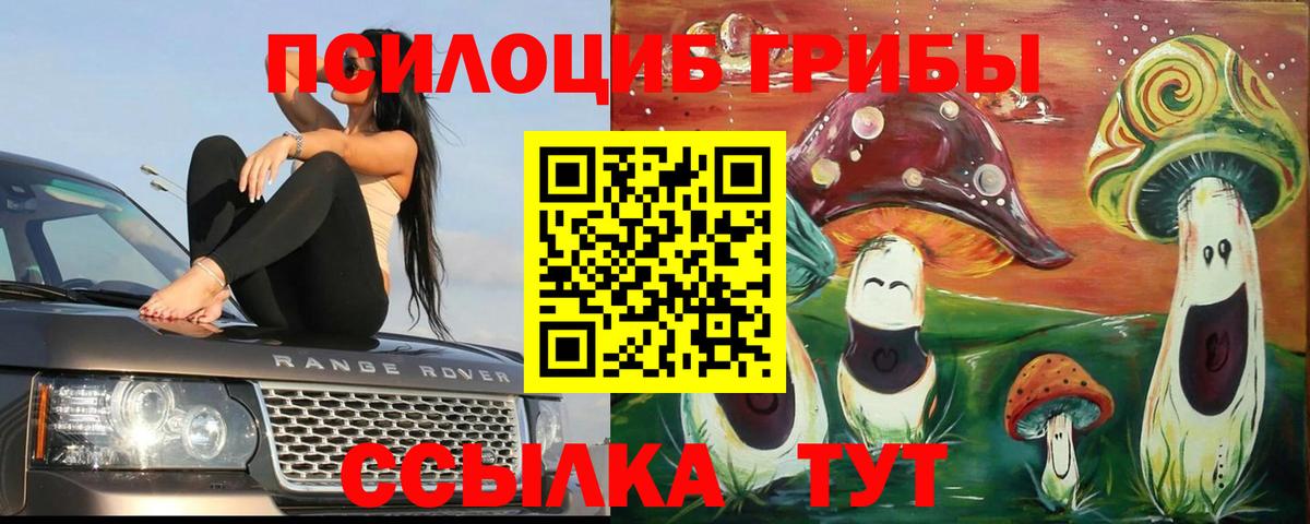 Псилоцибиновые грибы мицелий  Вход с VPN  Кудымкар 