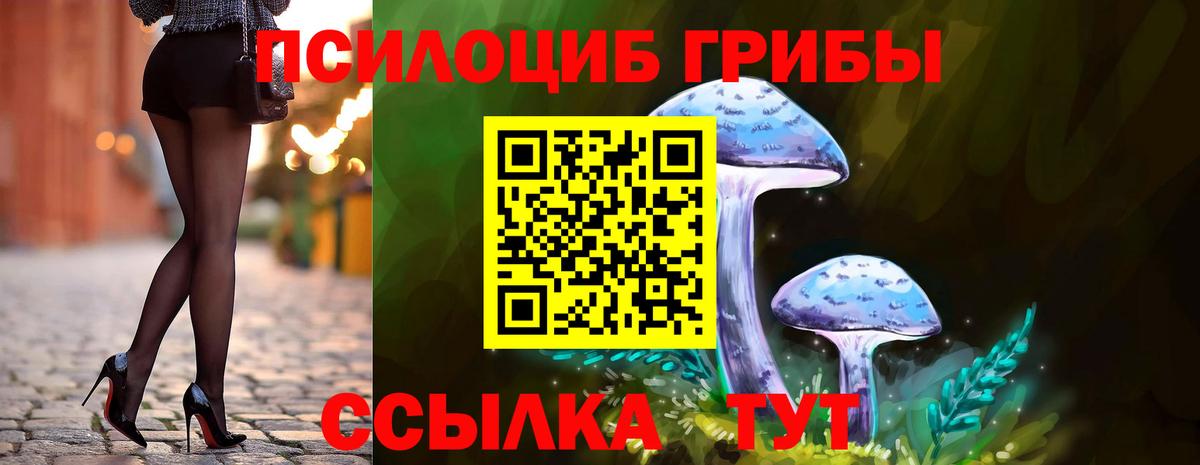 Галлюциногенные грибы Cubensis Кудымкар