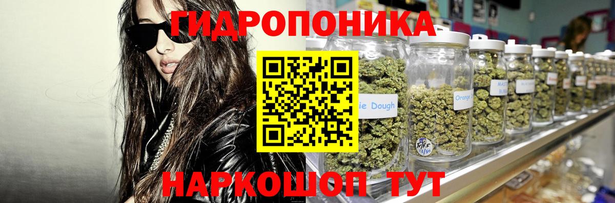 Марихуана сатива Кудымкар
